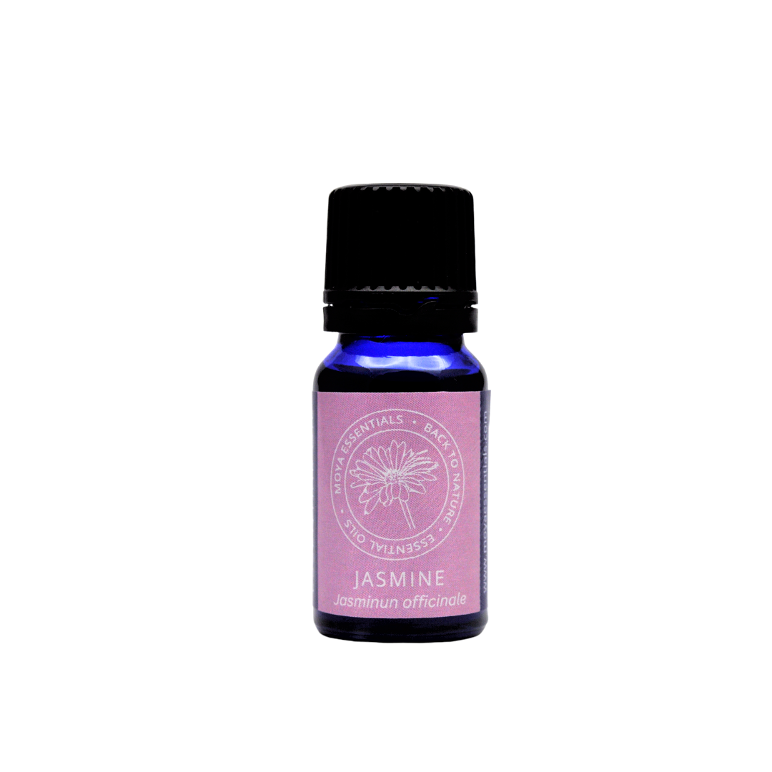 Jasmine Oil (Jasminum officinale)