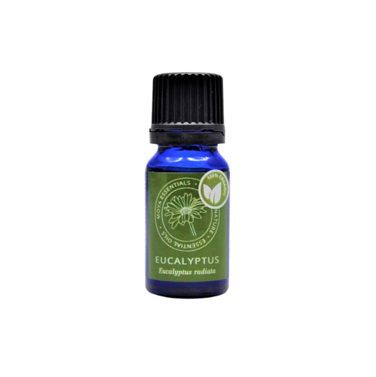 Eucalyptus oil (Eucalyptus radiata) - organic