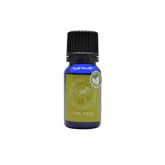Tea Tree oil (Melaleuca alternifolia) - organic