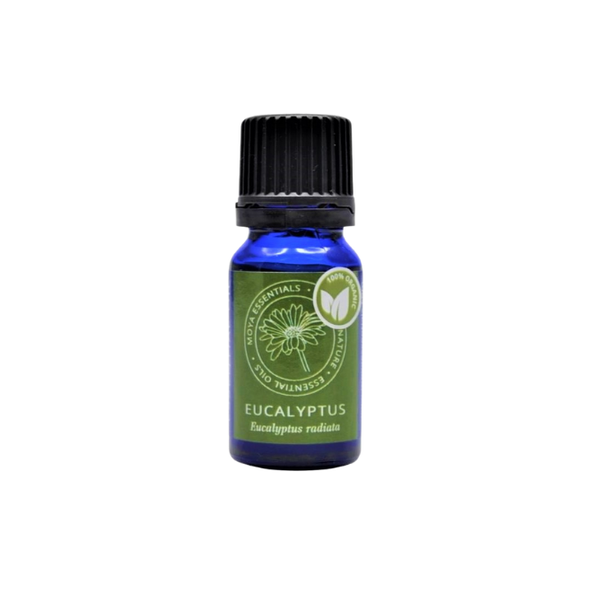 Eucalyptus oil (Eucalyptus radiata) - organic