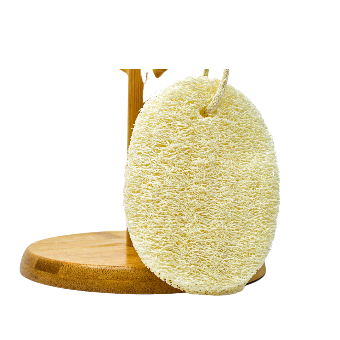 Loofah Sponge